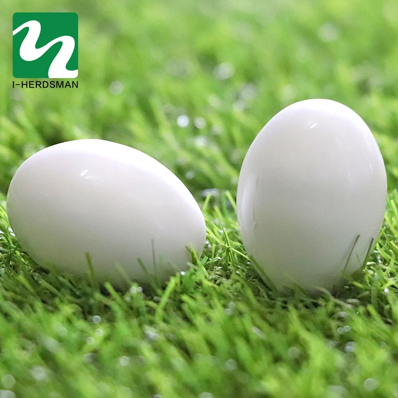 5 твердых имитированных яиц птицы инкубационные яйца курицы инкубационное