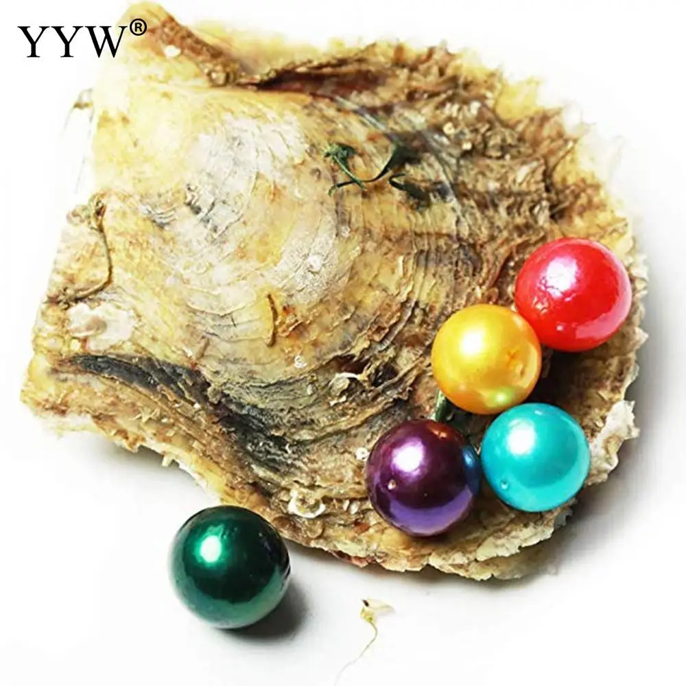 YYW 5 шт./лот высокое качество Akoya культивированный морской жемчуг Oyster бусины