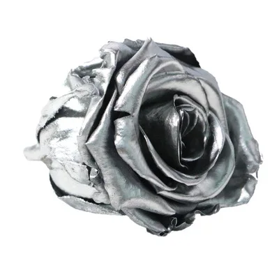 silvery YO CHO 8 шт. сохраненные вечные розы головы в коробке Высокое качество сухой Натуральный Свежий цветок навсегда Роза год подарок на день Святого Валентина 5 см - Цвет: silvery