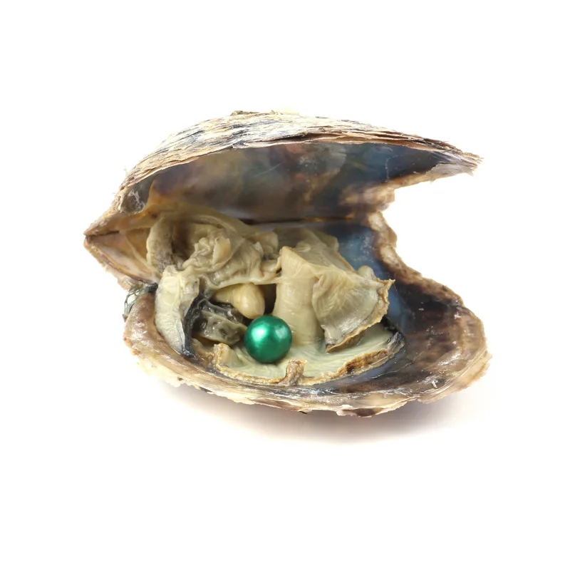 10 шт Oyster соленая вода с круглым жемчугом внутри случайный цвет(6,5-7,5 мм
