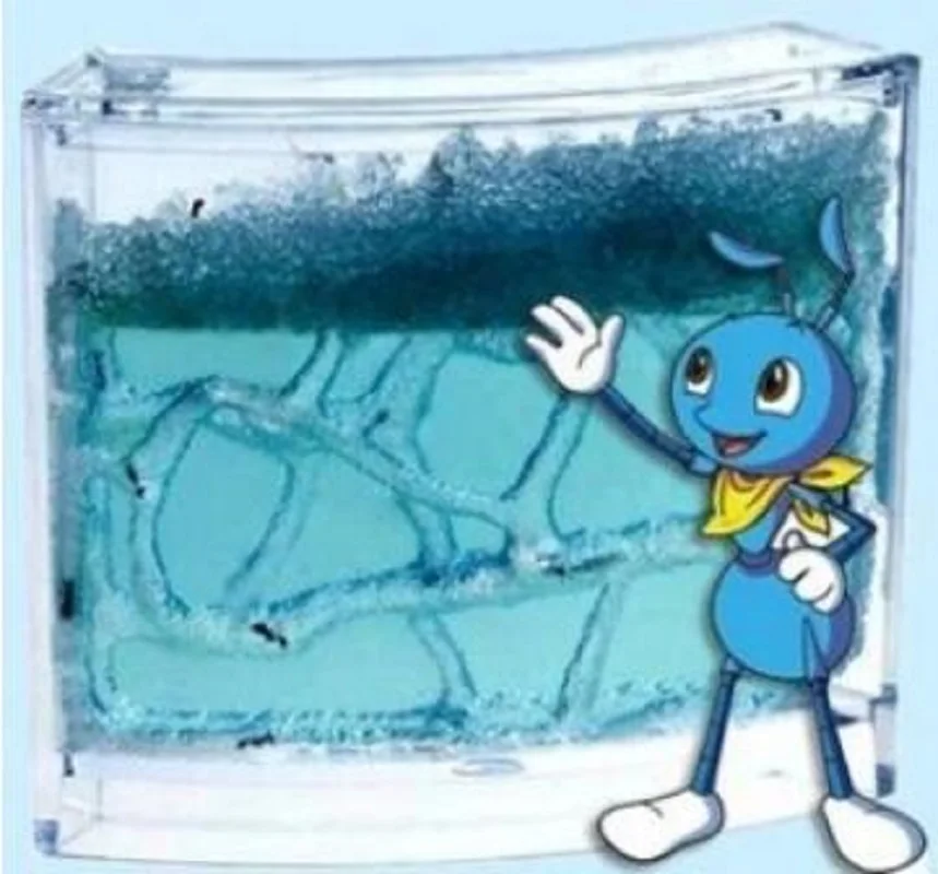 Экологичные муравьиная ферма детские игрушки оптом Экологические 12*9 7*3 см | Дом и