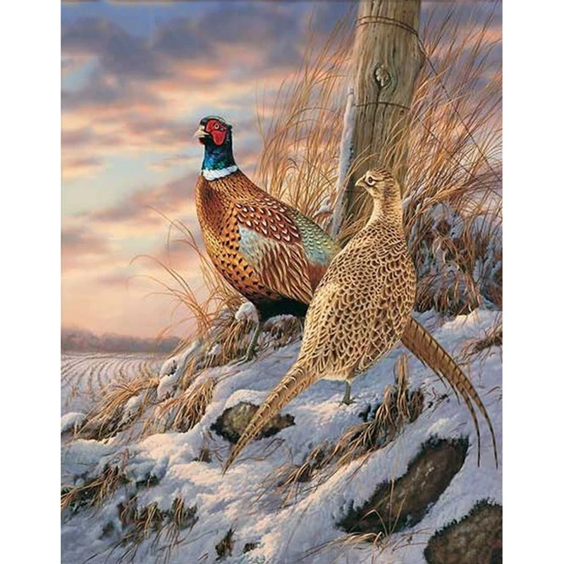 Фото Алмазная вышивка LZAIQIZG картина с квадратными/круглыми стразами фазан птица пара