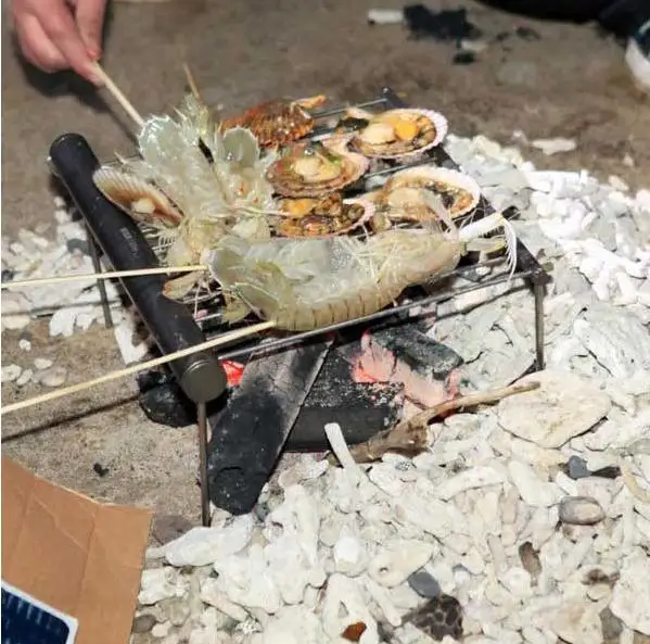 Srdwos Портативный уголь из нержавеющей стали кемпинг мини Принадлежности для