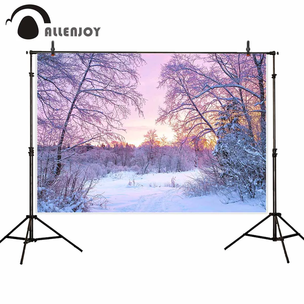 

Фон для фотосъемки Allenjoy Снежная сцена замороженный лес bokeh halo фотографические фоны Декор зимняя фотобудка студия