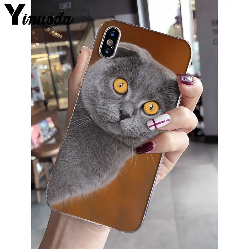 A10 Yinuoda Британский короткошерстный Кот поделка-чехол для телефона для iPhone 5 5Sx 6 7plus 8 8Plus X XS MAX XR Fundas Capa - Цвет: A10