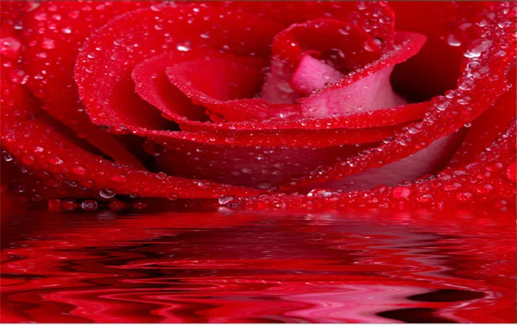 Пользовательские 3D большие красные розы Романтические и теплые фото обои для