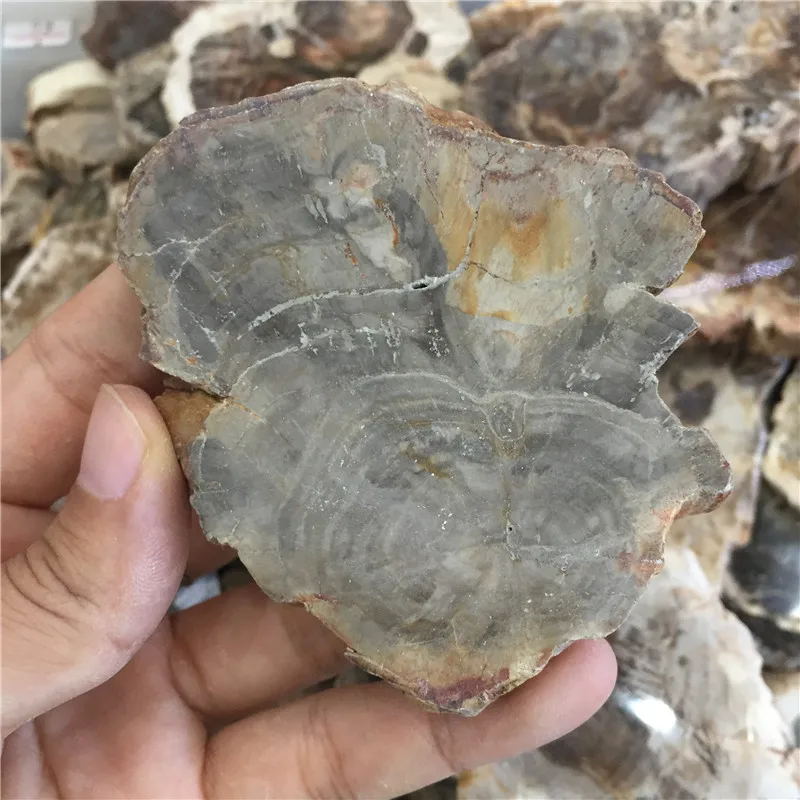 Специальное предложение 1 шт. Редкие натуральные камни и минералы дерево