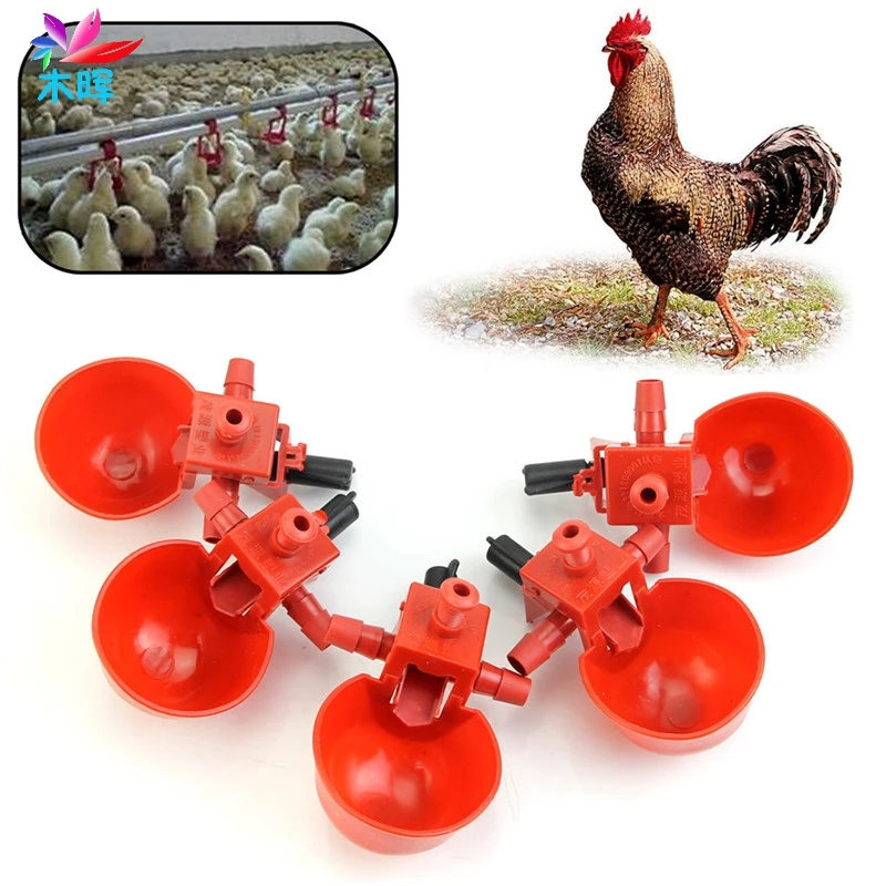 

Feed Automatic Bird Coop Poultry Chicken Fowl Drinker Water Drinking Cups 5Pcs