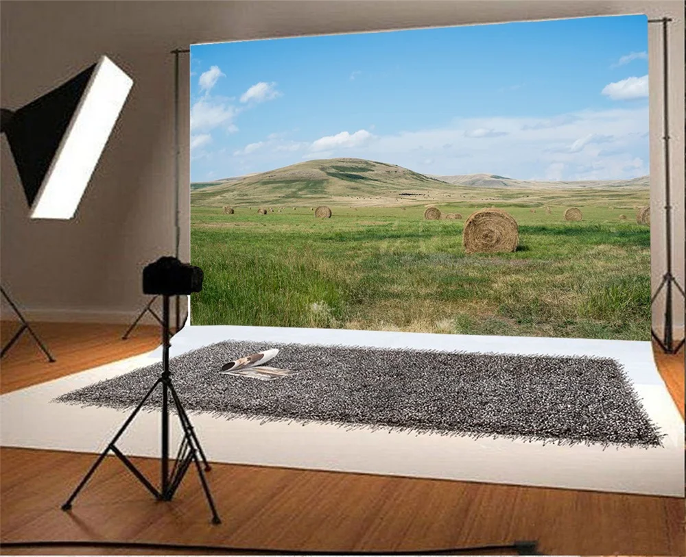 Laeacco Blue Sky Cloud Hay Stack Grassland Scenic Photographic Backgrounds Customized Photography Backdrops For Photo Studio | Электроника