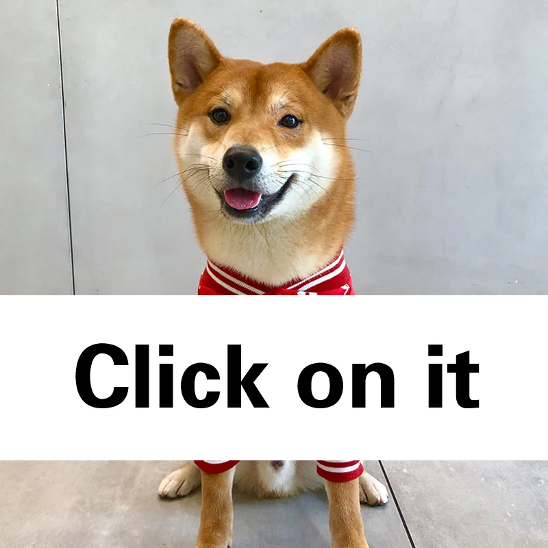 Модная брендовая новая одежда для собак маленьких среднего размера Одежда кошек