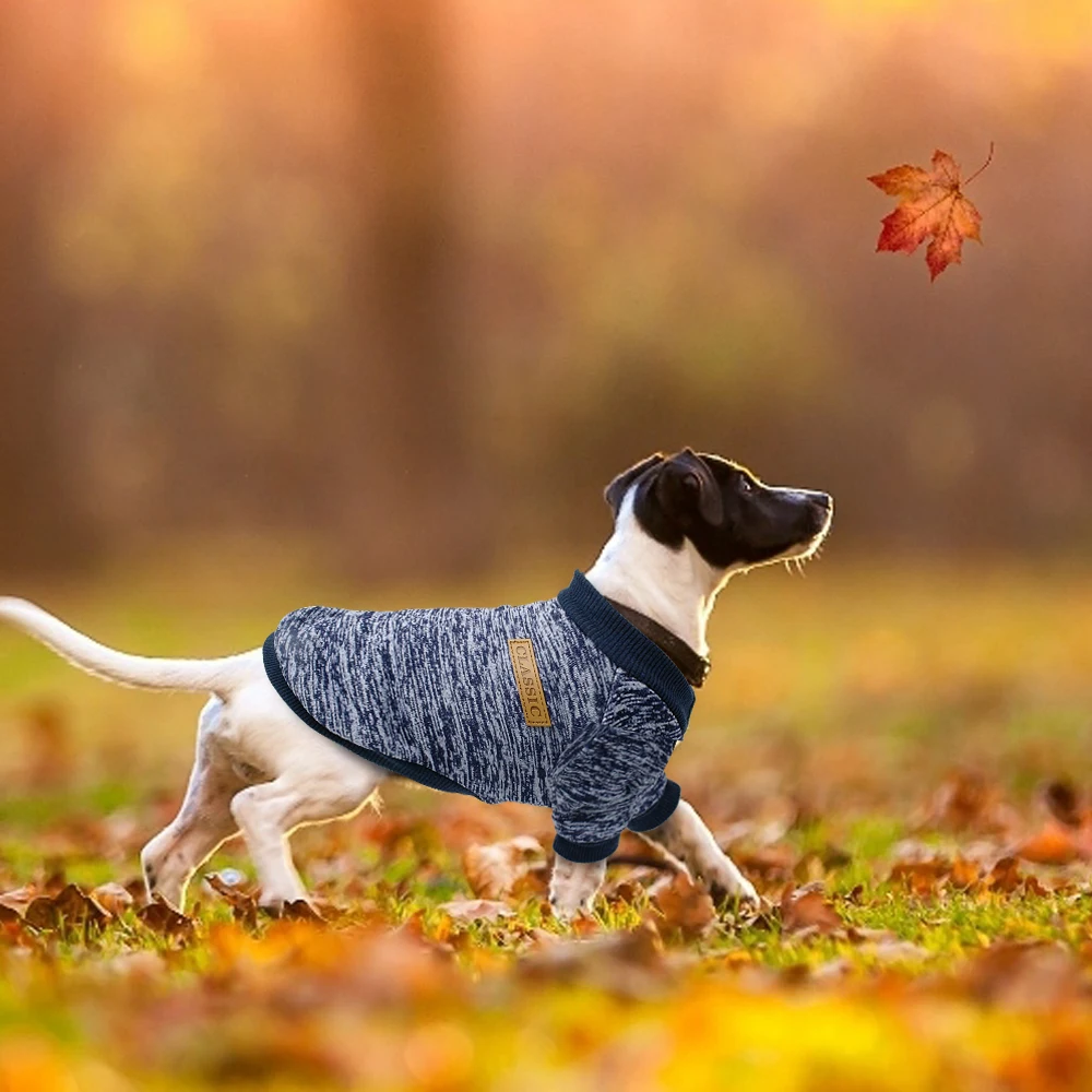 Классический костюм для домашних животных с принтом толстовка капюшоном осени и