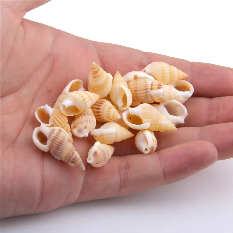 50 шт. натуральные раковины для аквариума вечерние украшения дома ручной работы