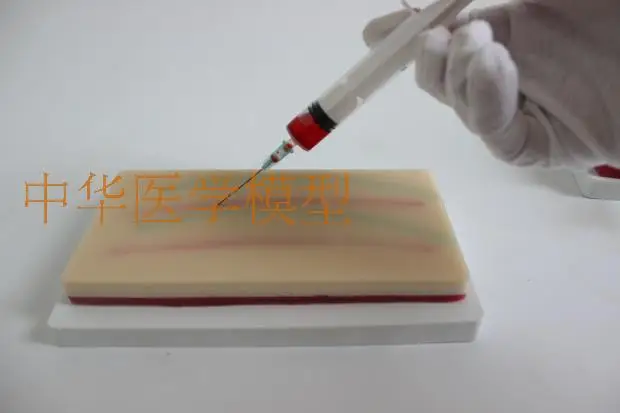 Многофункциональный внутримышечный тренировочный модуль для кожи и вены