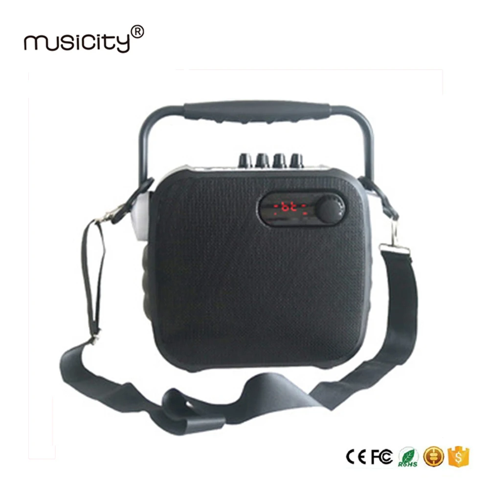 Musicity портативный PA Professional караоке Bluetooth динамик системы со звуком усилители