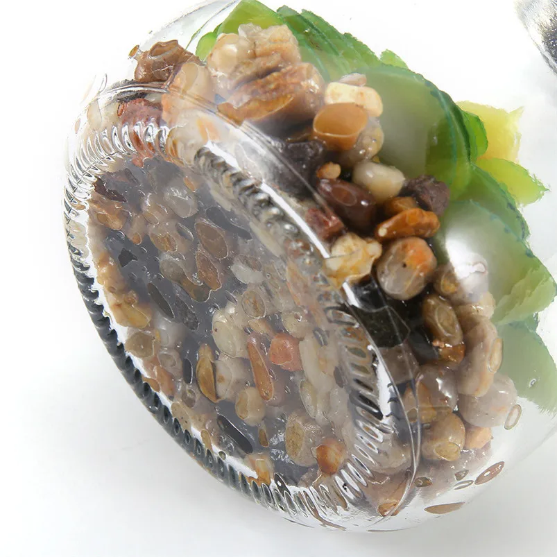 Искусственные суккуленты солнечный свет каменная банка светильник для бутылки