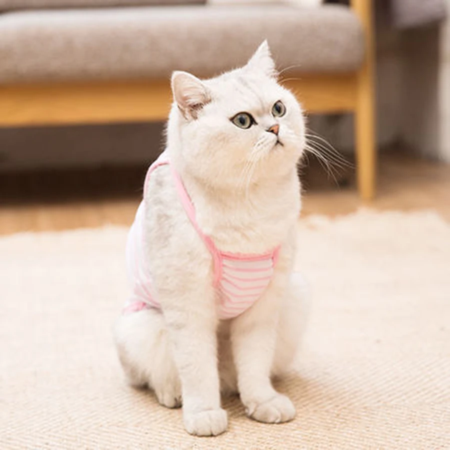 Костюм для кошки Ropa Para Gatos De Navidad Одежда собак кошек пальто модная спортивная