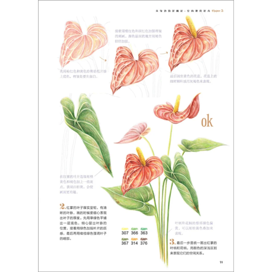 Цветной карандаш цветы мир цветной ing Book взрослые дети Искусство Эскиз Рисование