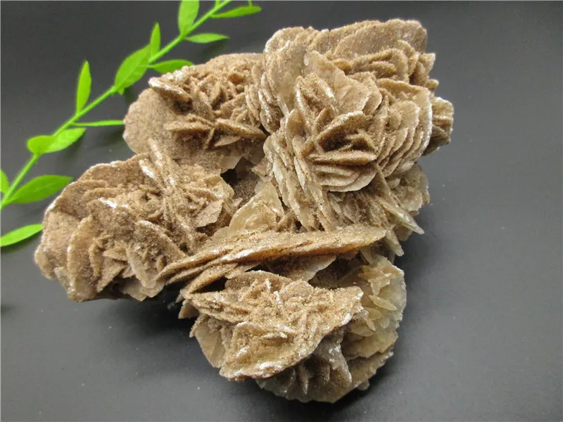 100% натуральная пустынная Роза целебный кристалл фотообразец коллекция