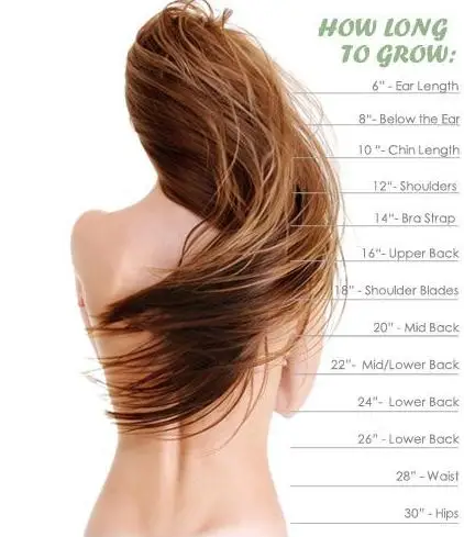 Полный Шнурок Человеческих Волос Парики Для Чернокожих Женщин Бразильского