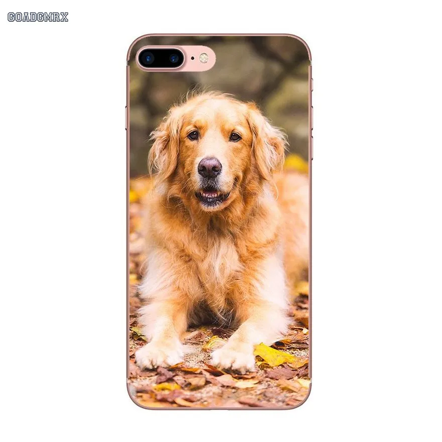 For Huawei P Smart P8 P9 P10 Lite Y6 Y7 Y9 Prime Pro 2017 2018 2019 Transparent TPU Case Covers Golden Retriever Lovely Puppy | Мобильные