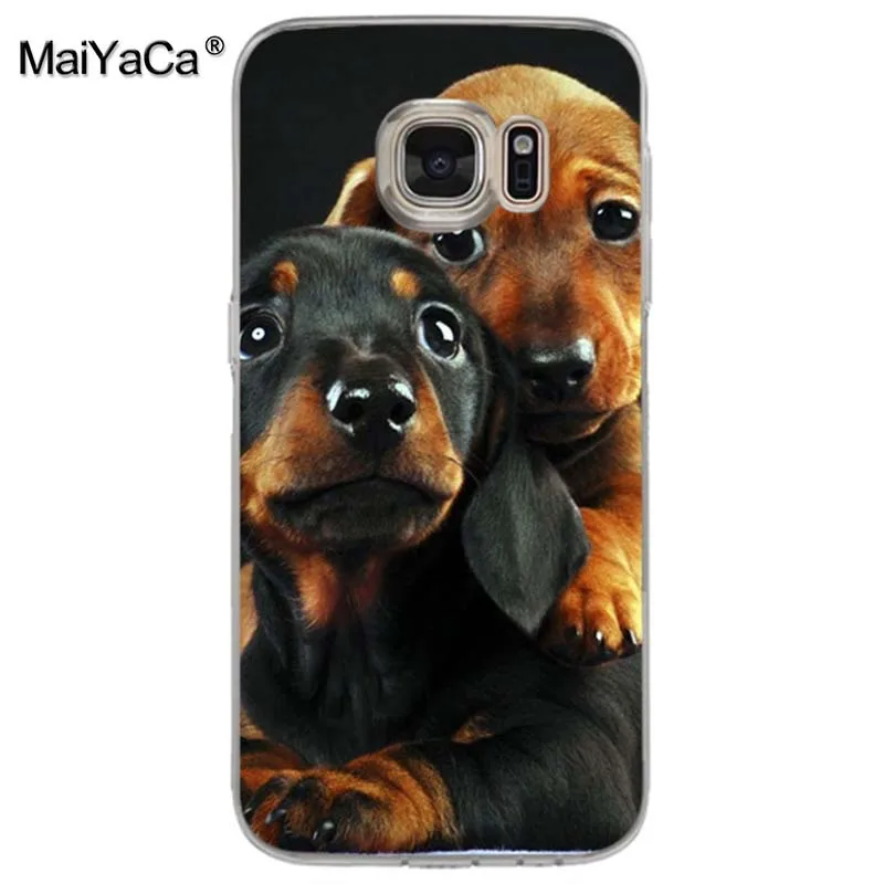 Чехол для телефона MaiYaCa black Dachshund Doberman с рисунком лица собаки samsung galaxy s9 plus s7 s6 edge s5 s8