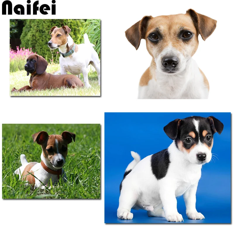 Jack Russell Terrier 5D DIY diamond painting Full Square/Round Drill Dogs Cub Diamond Embroidery Cross Stitch Home Decor Gift