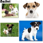 Алмазная 5D картина Джек Рассел терьер, сделай сам, полноразмернаякруглая вышивка с изображением собак, вышивка крестиком, домашний декор, подарок