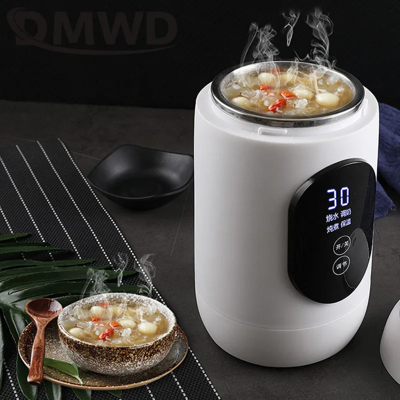 DMWD Stainless Steel Electric Kettle Hot Water Heating Boiler Pot Travel Noodle Soup Stew Cooker Teapot Milk Heater Rice Steamer