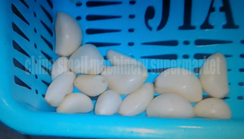 Машина для чистки чеснока из нержавеющей стали 25 кг в час|skin remover|machine machinemini mini |