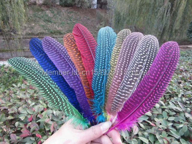

wholesale 100pcs high quality beatiful guinea fowl feather 12-17cm / 5-7inch Decorative diy
