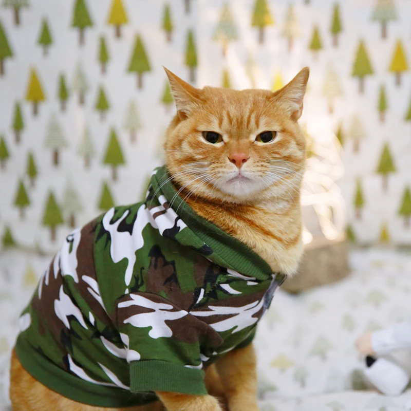 [Одежда для кошки MPK] камуфляжное пальто на собаку одежда питомца милая хлопковая