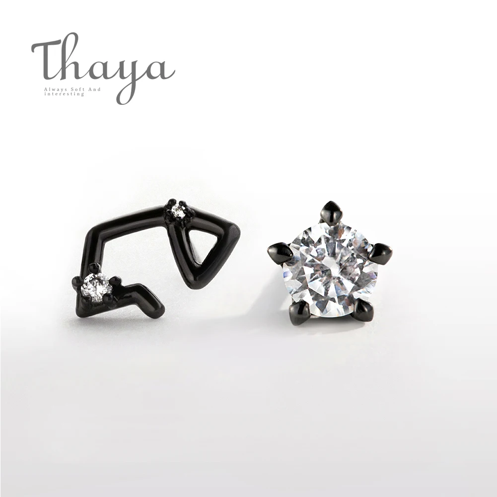 Sagittarius Thaya 12 для созвездий циркониевые серьги-гвоздики S925 пробы с кристаллами для женщин панк мистические ювелирные изделия элегантные на день рождения - Цвет камня: Sagittarius