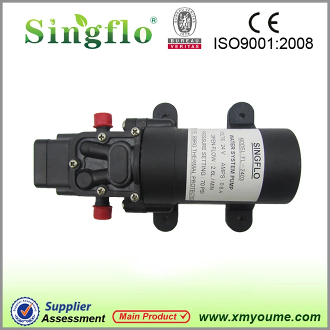 Singflo FLO 2402 24 в 3 8 л/мин 35PSI мини водяной насос для RV/переносной воды|pump for|mini water pumpwater