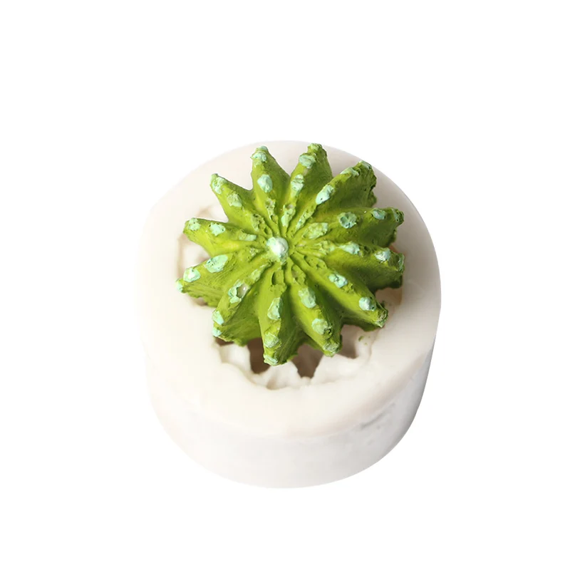 Силиконовые формы для суккулентных растений форма помадки торта фотокактуса