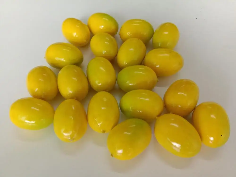 Yellow lemon Декоративные реалистичные Мини Искусственные Поддельные фрукты Декор ассортимент Лот из 20 - Цвет: Yellow lemon