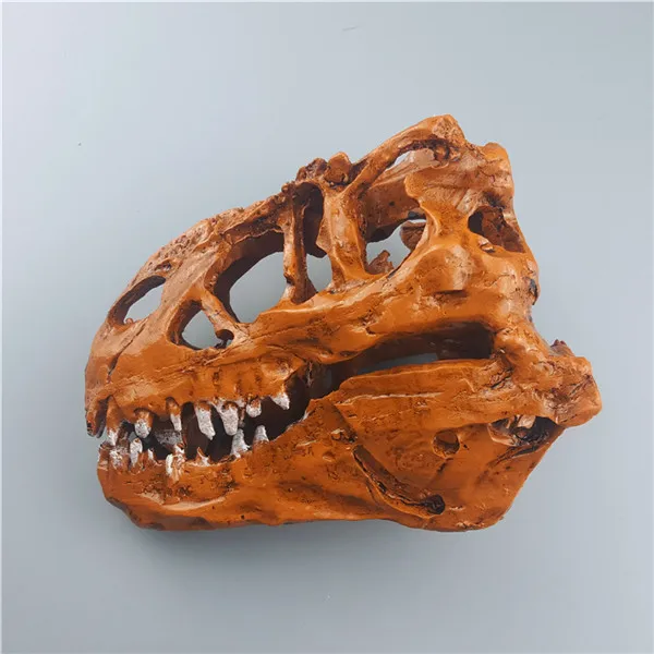 002 MRZOOT Смола скелет динозавра Модель Tyrannosaurus череп животных Исследование Обучение коллекция ремесла Творческий дом Декор - Цвет: 002