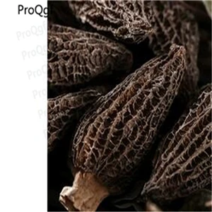 Morchella 50 грамм триголома тремелла термиторни спарассис Saarcodon Pholiota Panellus Morchella Lentinus Hericium Dictyophora - Цвет: Morchella