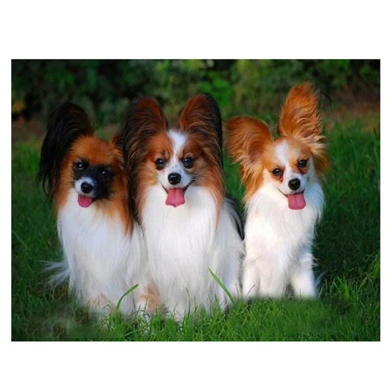 Алмазная 5d Вышивка бабочки животные свадебное украшение рождественский подарок