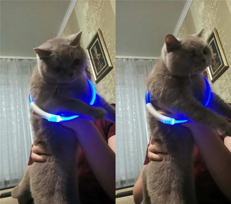 Светящийся ошейник для собак, usb-зарядка, светящийся ошейник для кошек, светодиодный ошейник для собак, аксессуары для маленьких, средних и больших собак