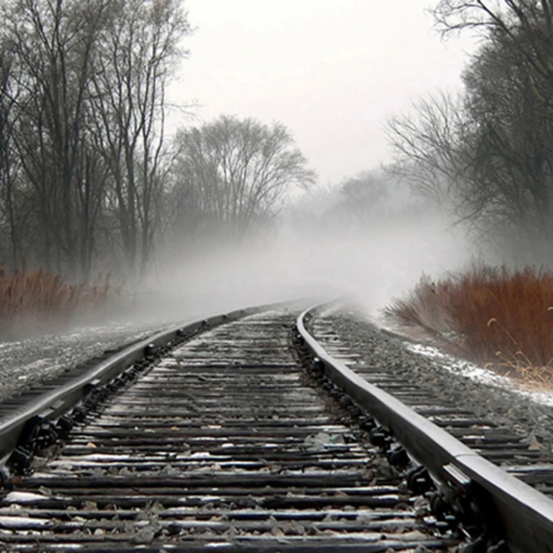 Зимние Treeblight железной дороги фото фонов для фотостудии 150 см * 200 фоны фон