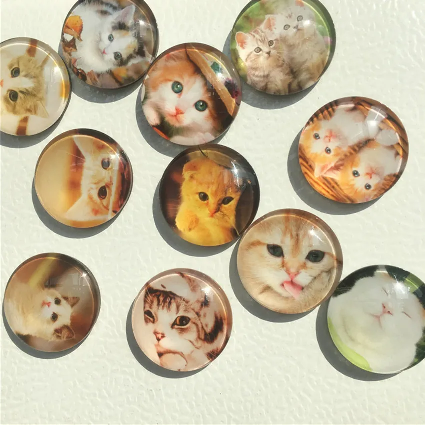 Бесплатная доставка (14 шт./лот) милый кот круглый стеклянный магнит на