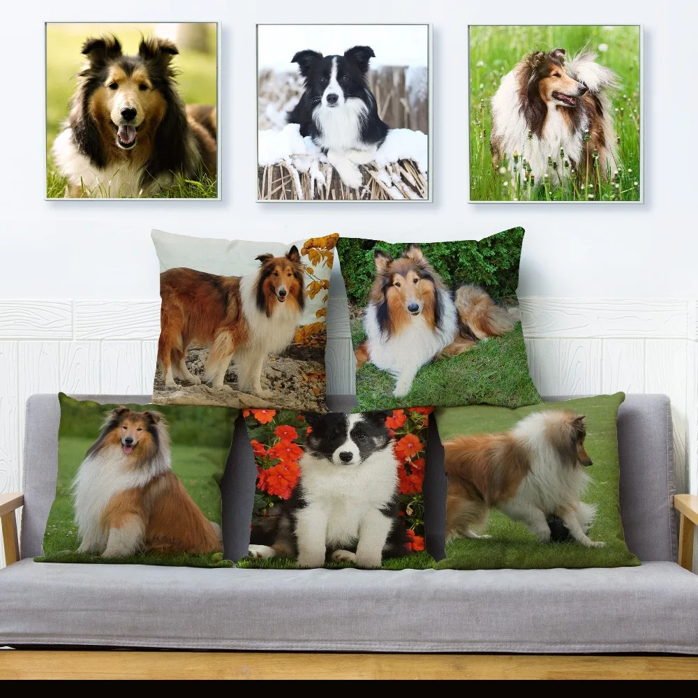 Фото Милый чехол для подушки SheltiePet Border Collie, 45*45 см №1