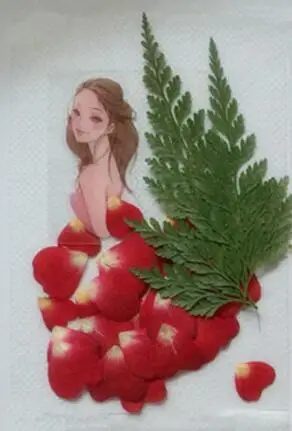 Прессованный высушенный лист листья + цветы наклейка красивая девушка юбка