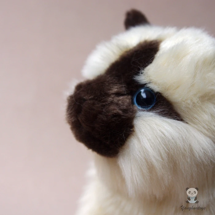 Kawaii мягкие игрушки животных праздничные подарки сиамская кошка кукла настоящая жизнь кошки плюшевые детские игрушки