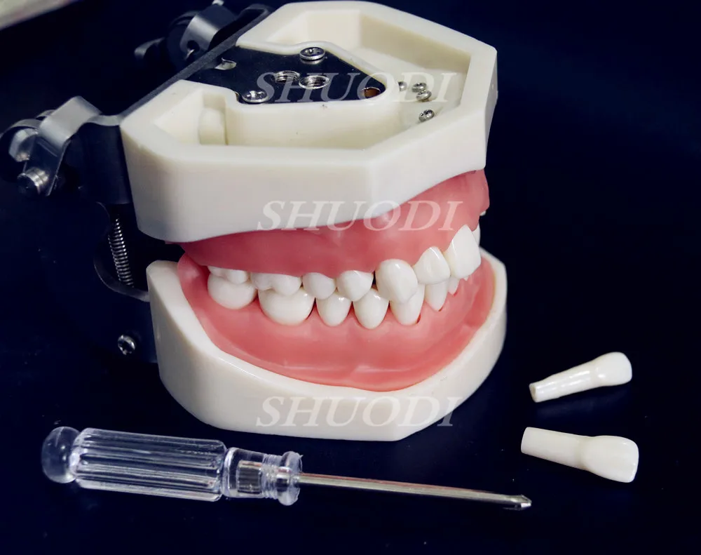 Стоматологическая подготовка зубов шлифовки и полировки Управление зубы