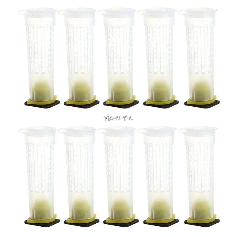 10 шт пчеловодства Rearing Cup Kit пчела королева клетки роликовое оборудование для