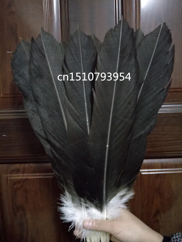 

wholesale high quality 100pcs scare Natural big eagle tail feathers 35-40cm/14-16inch Decorative diy Jewelry accessories