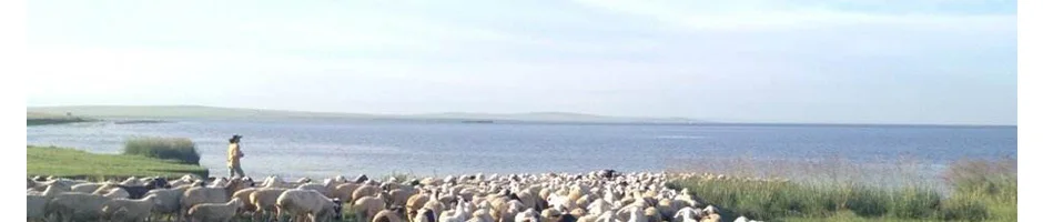 Зимнее мужское кожаное пальто с лисьим меховым воротником, пальто из натуральной кожи, пуховик, стиль пилот, кожа овчины, мужская кожаная куртка, новинка