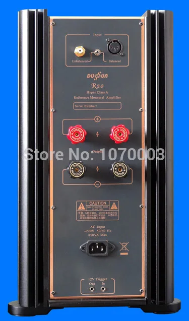 N 014 Dussun R20 Hi end высший класс ссылку Мощность моно Усилитель Моно усилитель Amp 300 ~