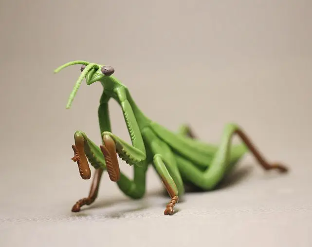 

Pvc figure Simulation animal model Insect mantis
